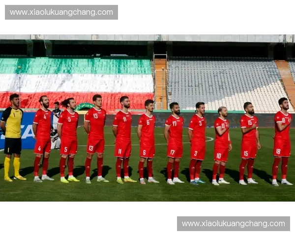 围绕2018年俄罗斯世界杯足球赛的激情瞬间与传奇故事全景回顾